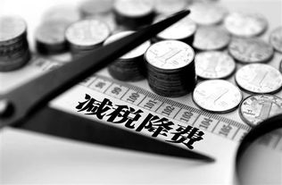 未央区正规教育科技公司快速注册指南 聚焦西安通税财务咨询服务